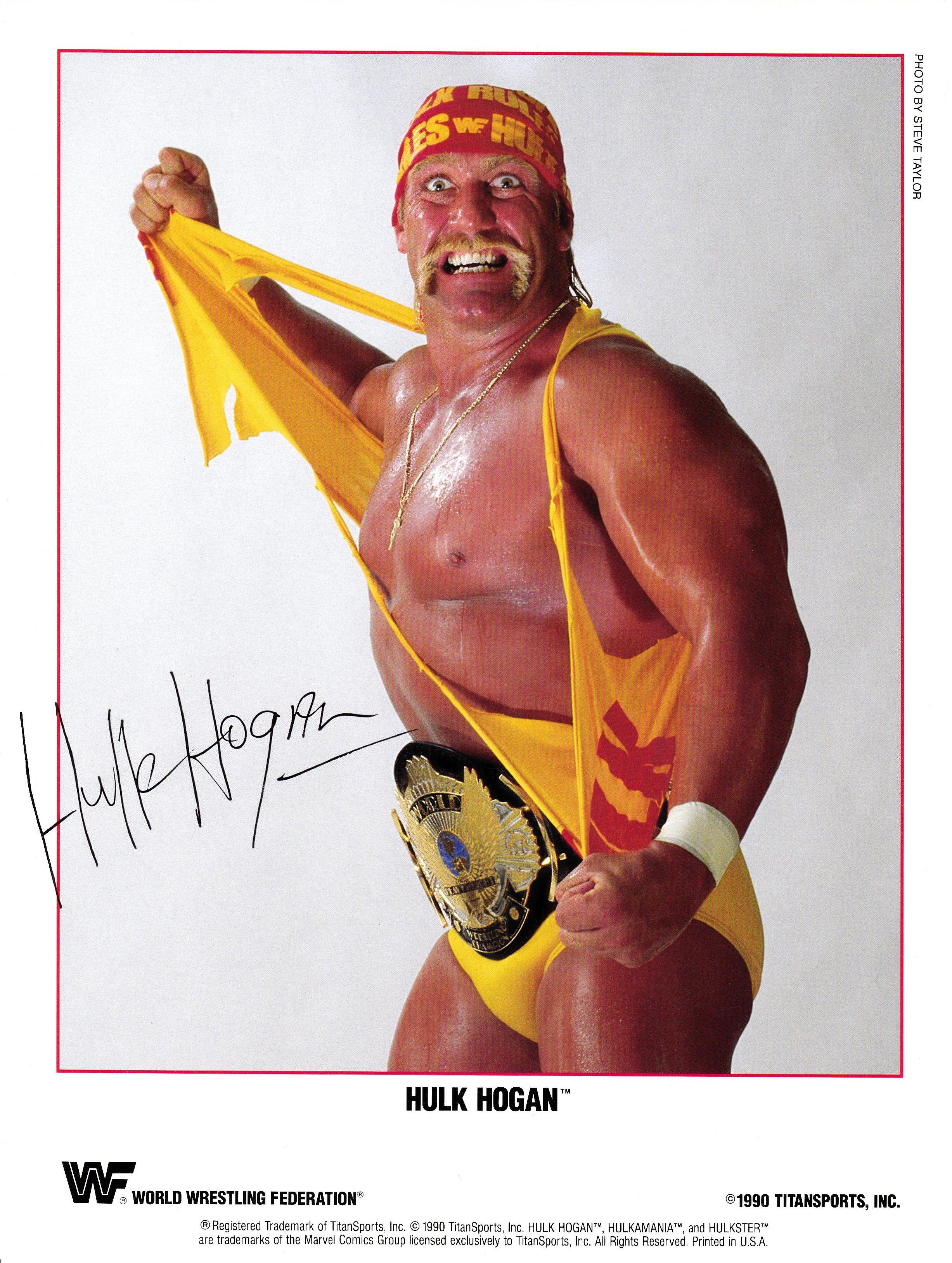 洋楽 Hulk Hogan Record / Picture Disc Hulk Hogan Picture Disc Record WWE Legend Music US/JP
